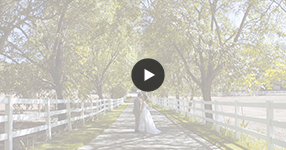 Watch Malibu Wedding Video
